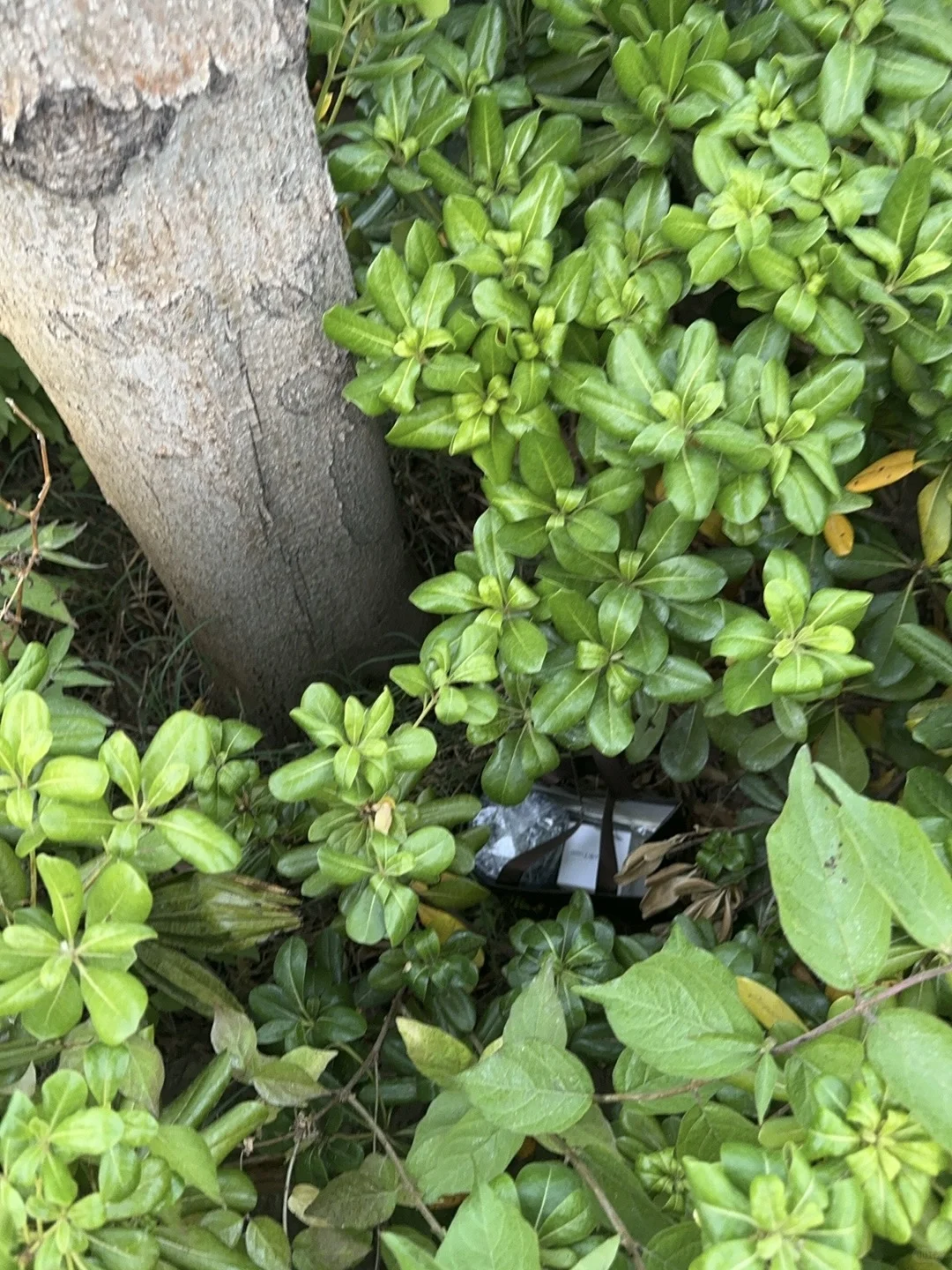 会展中心地铁站C2口 礼物自取?第八期