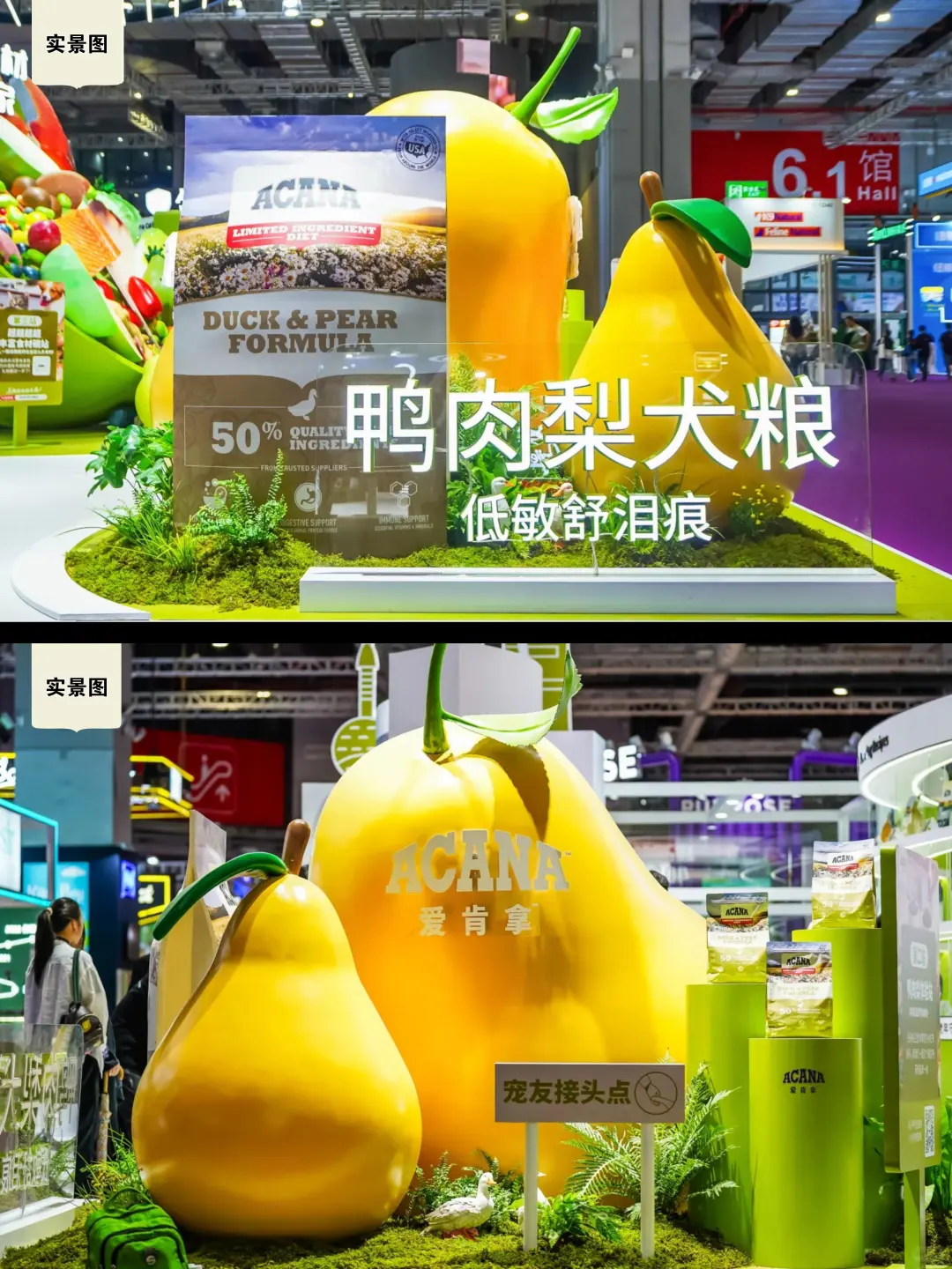 它博会宠物展台设计~超二十种天然食材碗