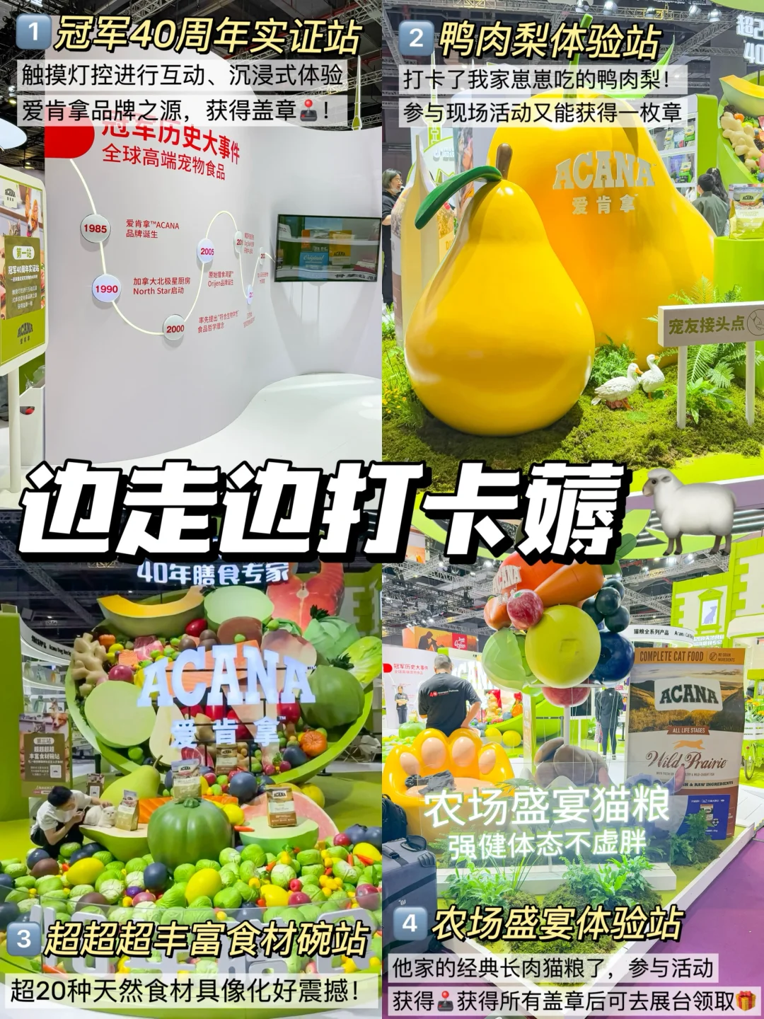 今年的它博会终于来啦!铲屎官们千万别错过