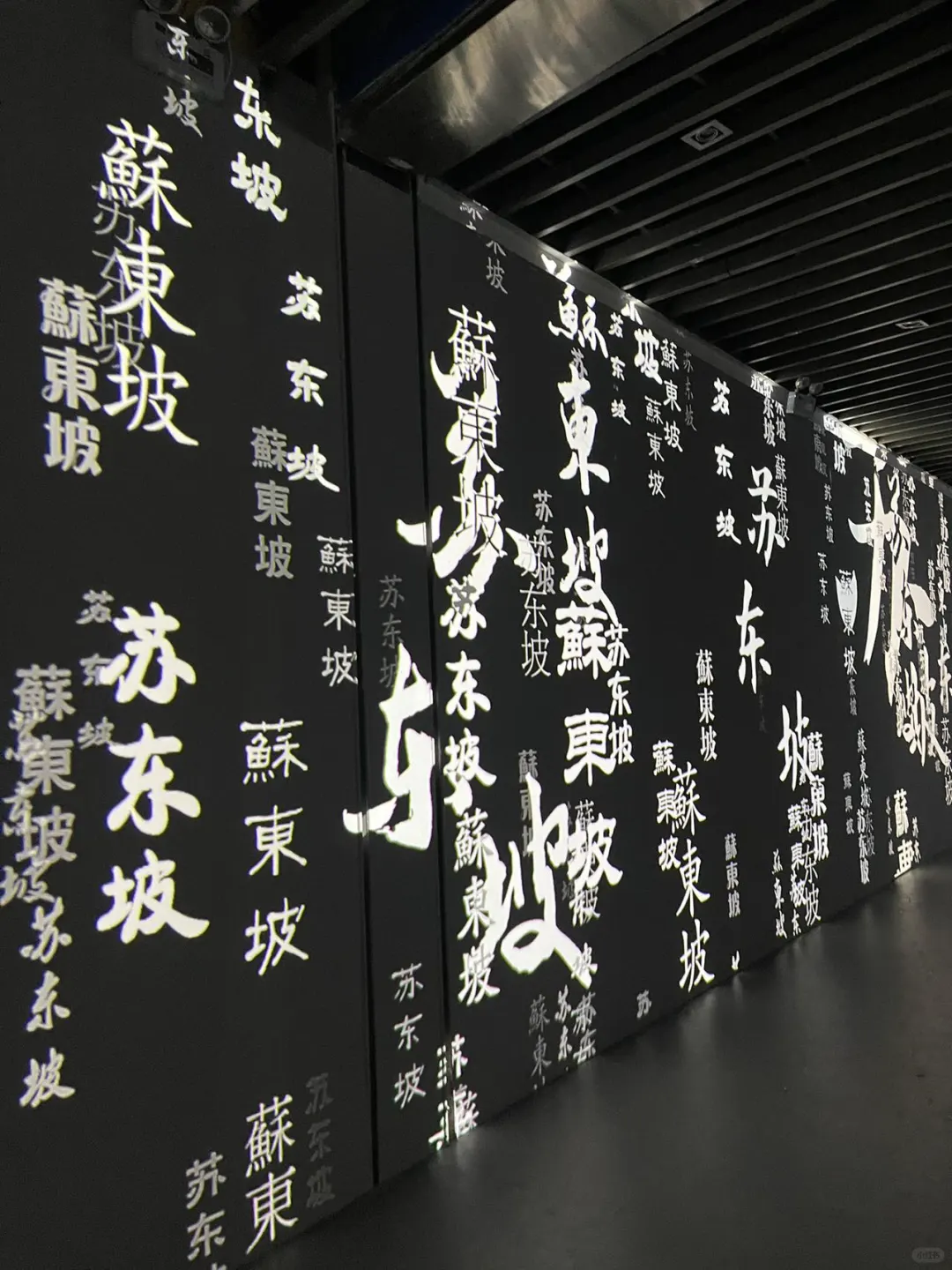 被苏轼展震撼了，真的超级治愈