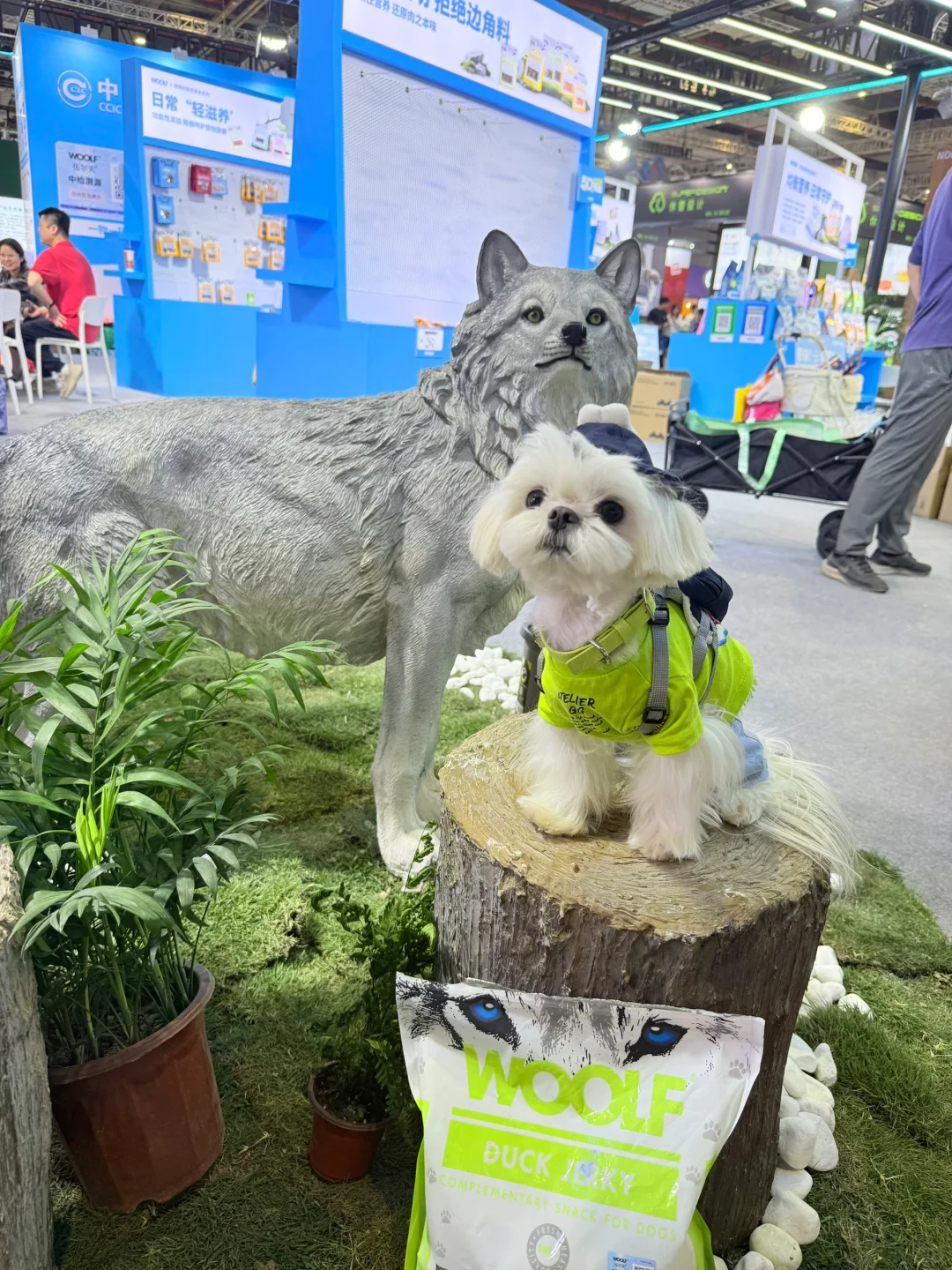 带小可爱夜闯它博会～