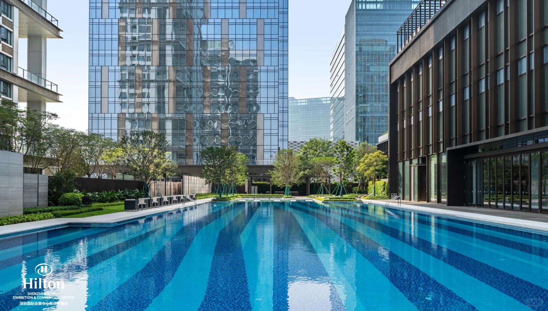深圳会展希尔顿酒店-人少水好 (100r14天)