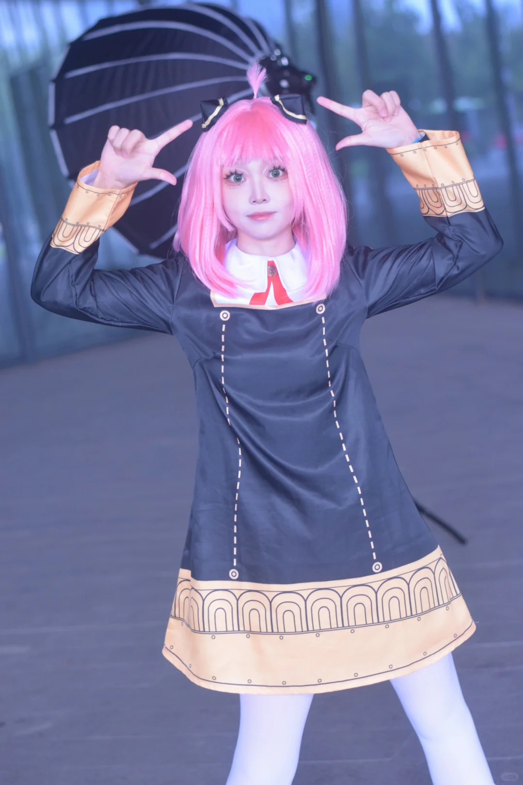 自由行求赞，老大们求求！