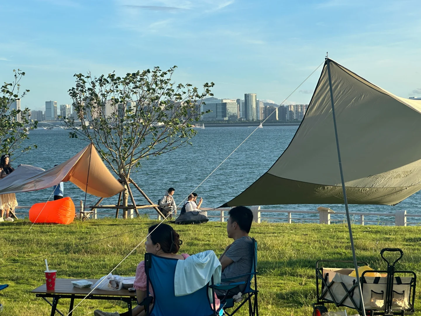 厦门新会展沙滩决绝子