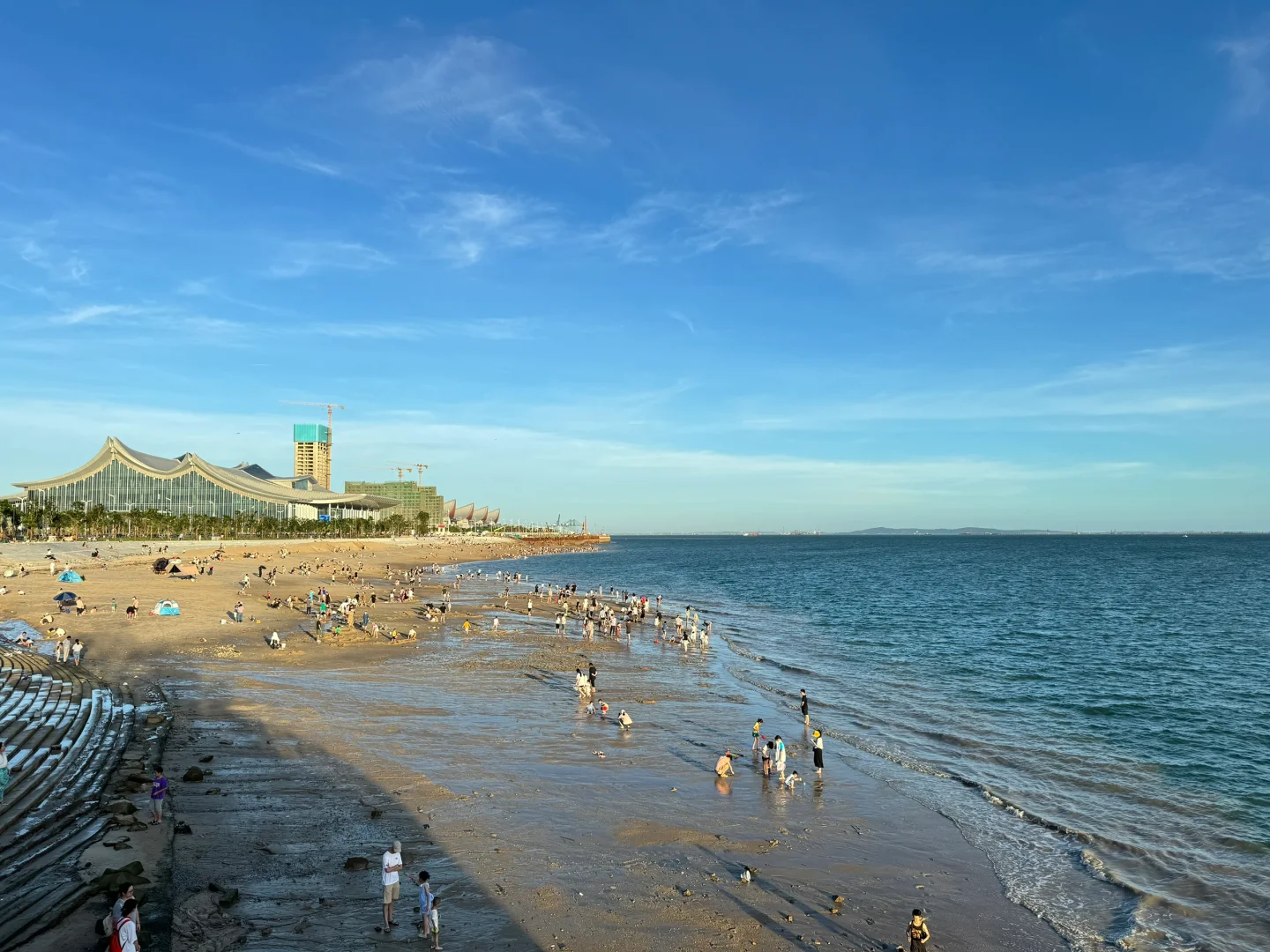 厦门新会展沙滩决绝子