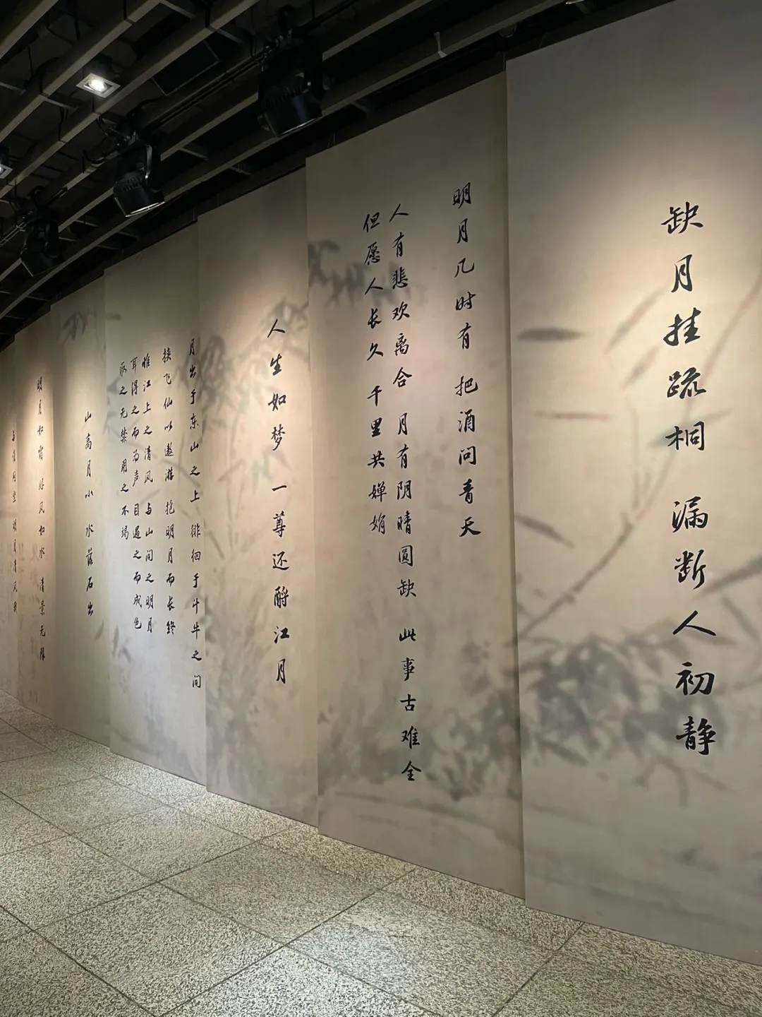 被苏轼展震撼了，真的超级治愈