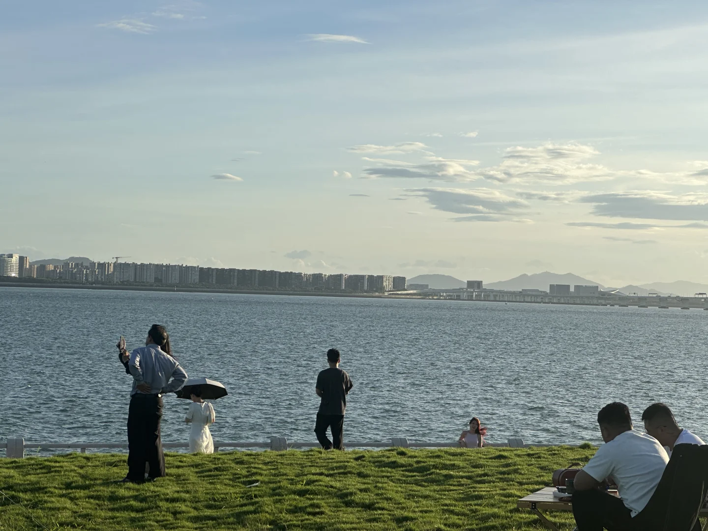 厦门新会展沙滩决绝子