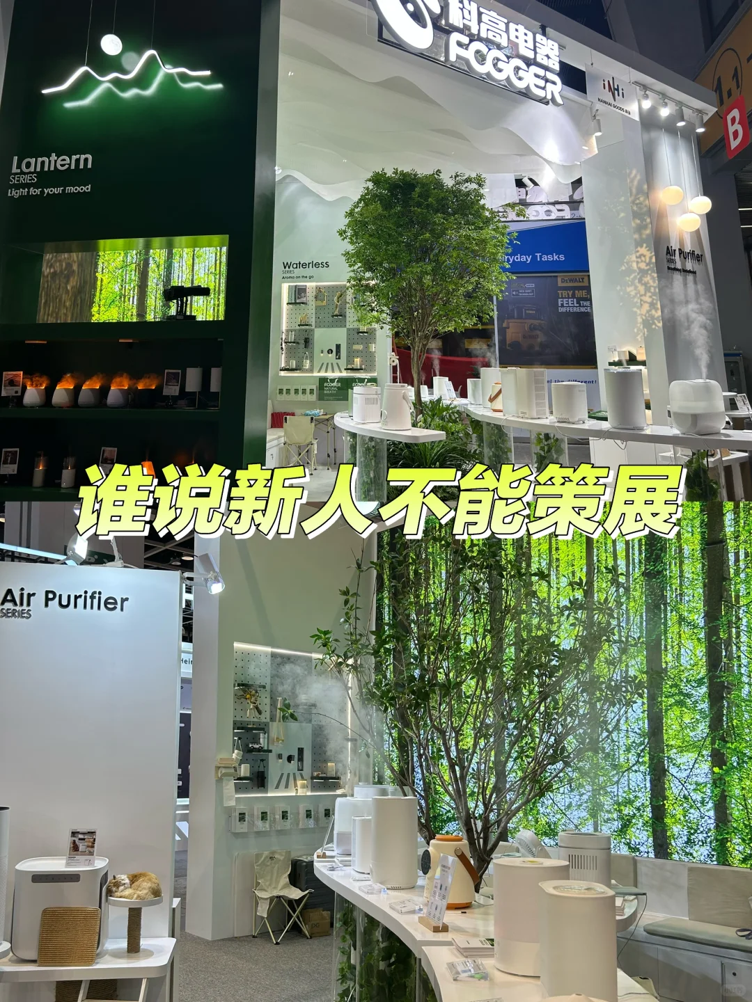 谁说新人不能策展?