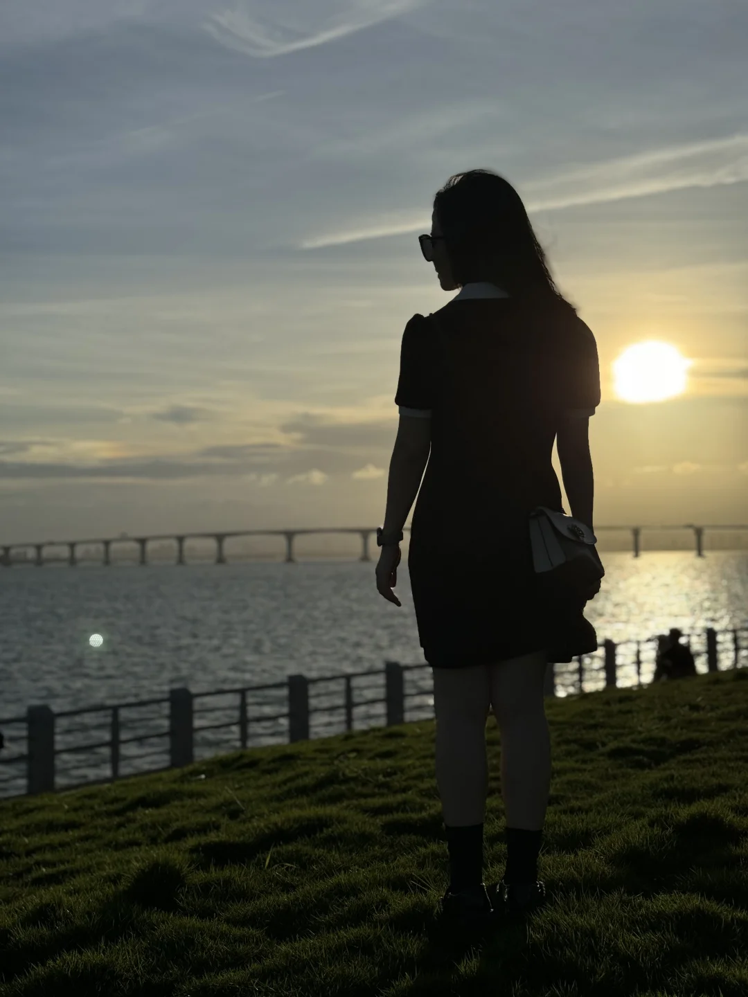 厦门新会展沙滩决绝子