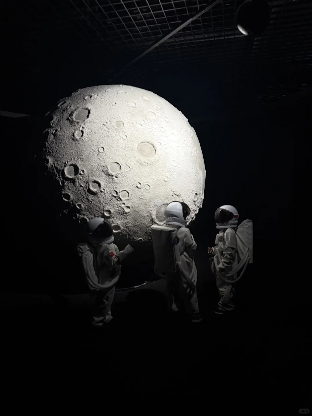 哦莫～?不小心掉进线性时空里……