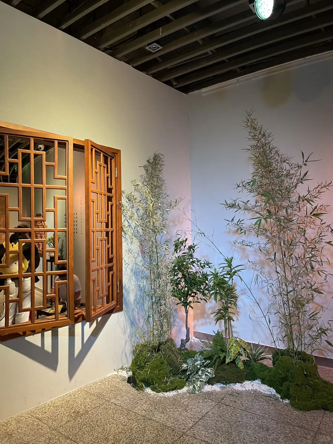 被苏轼展震撼了，真的超级治愈