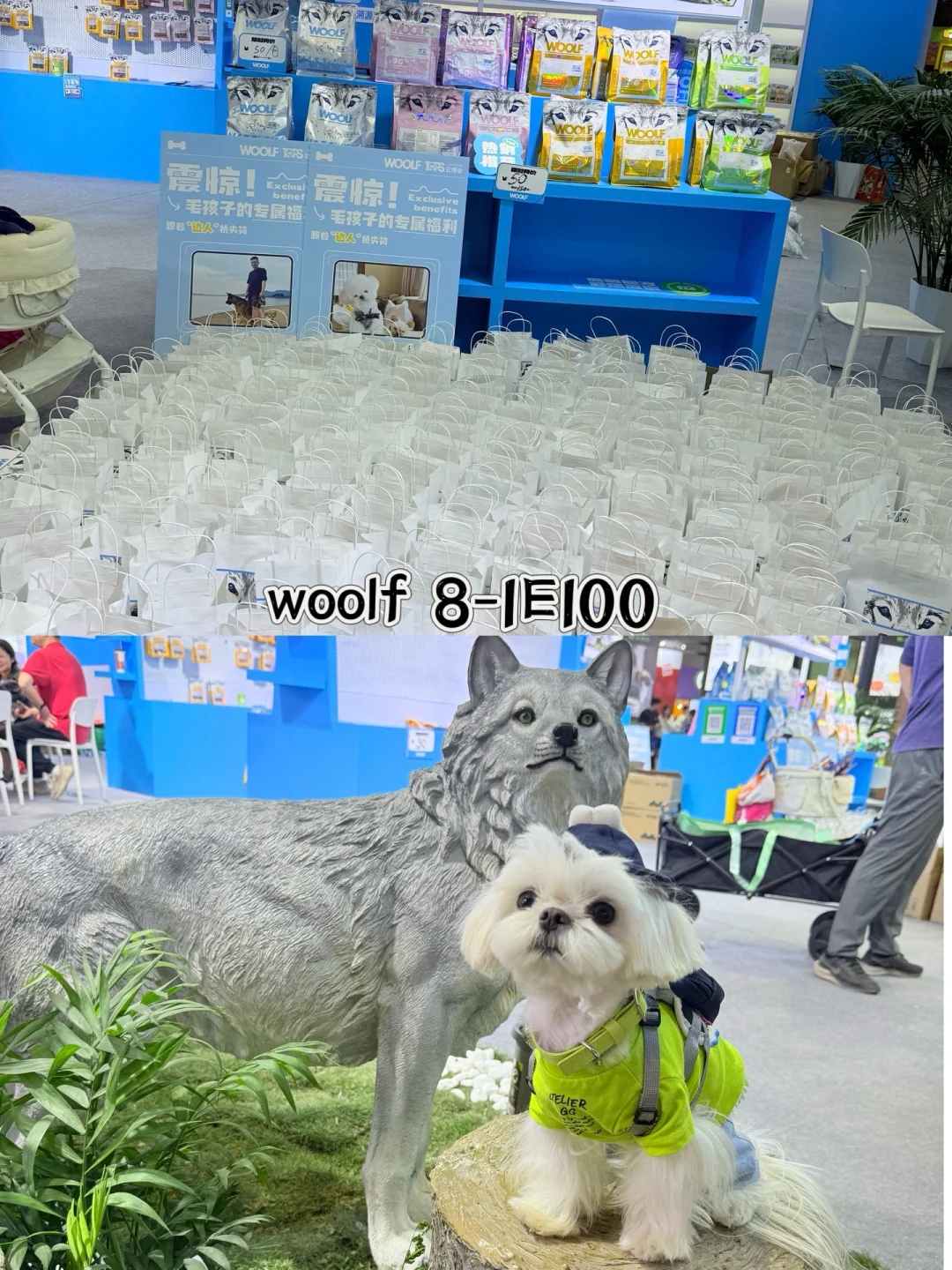 带小可爱夜闯它博会～