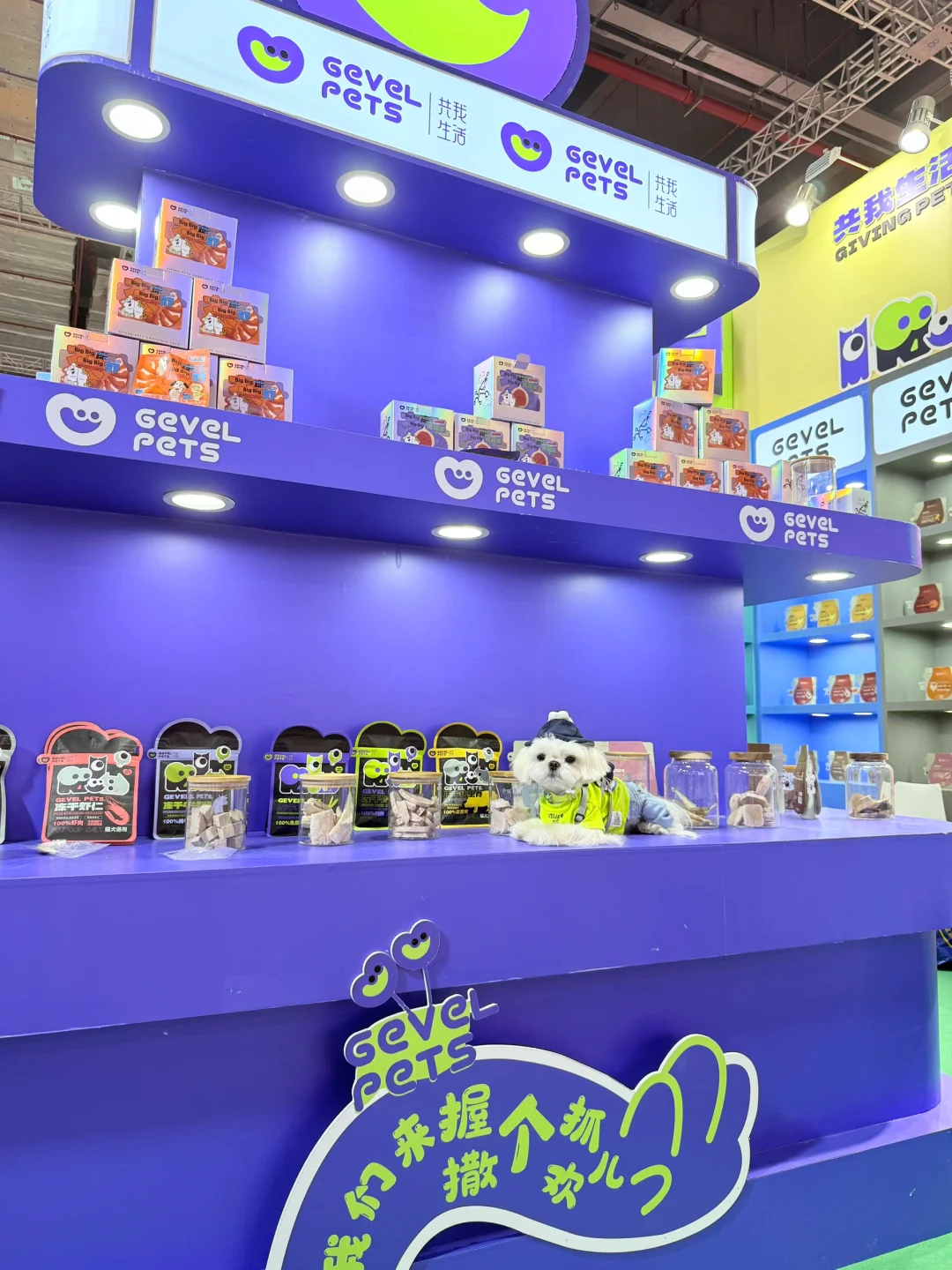 带小可爱夜闯它博会～