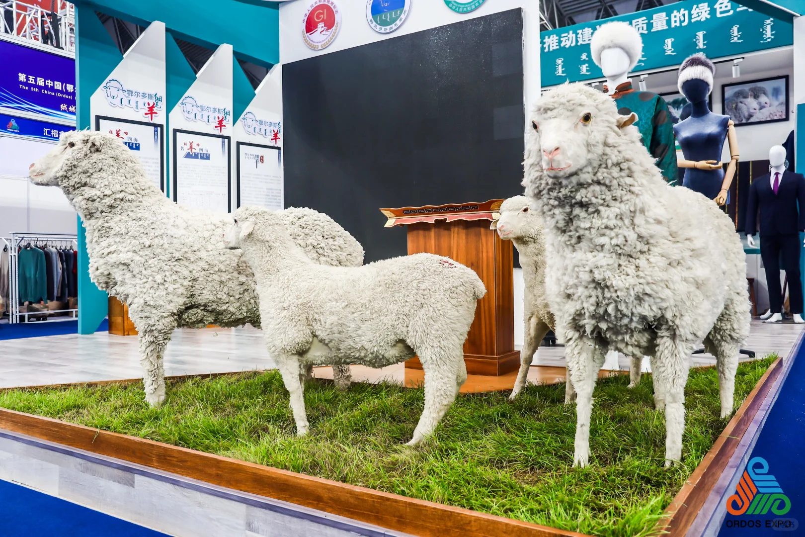 绒博会展台布置/乌审旗展区