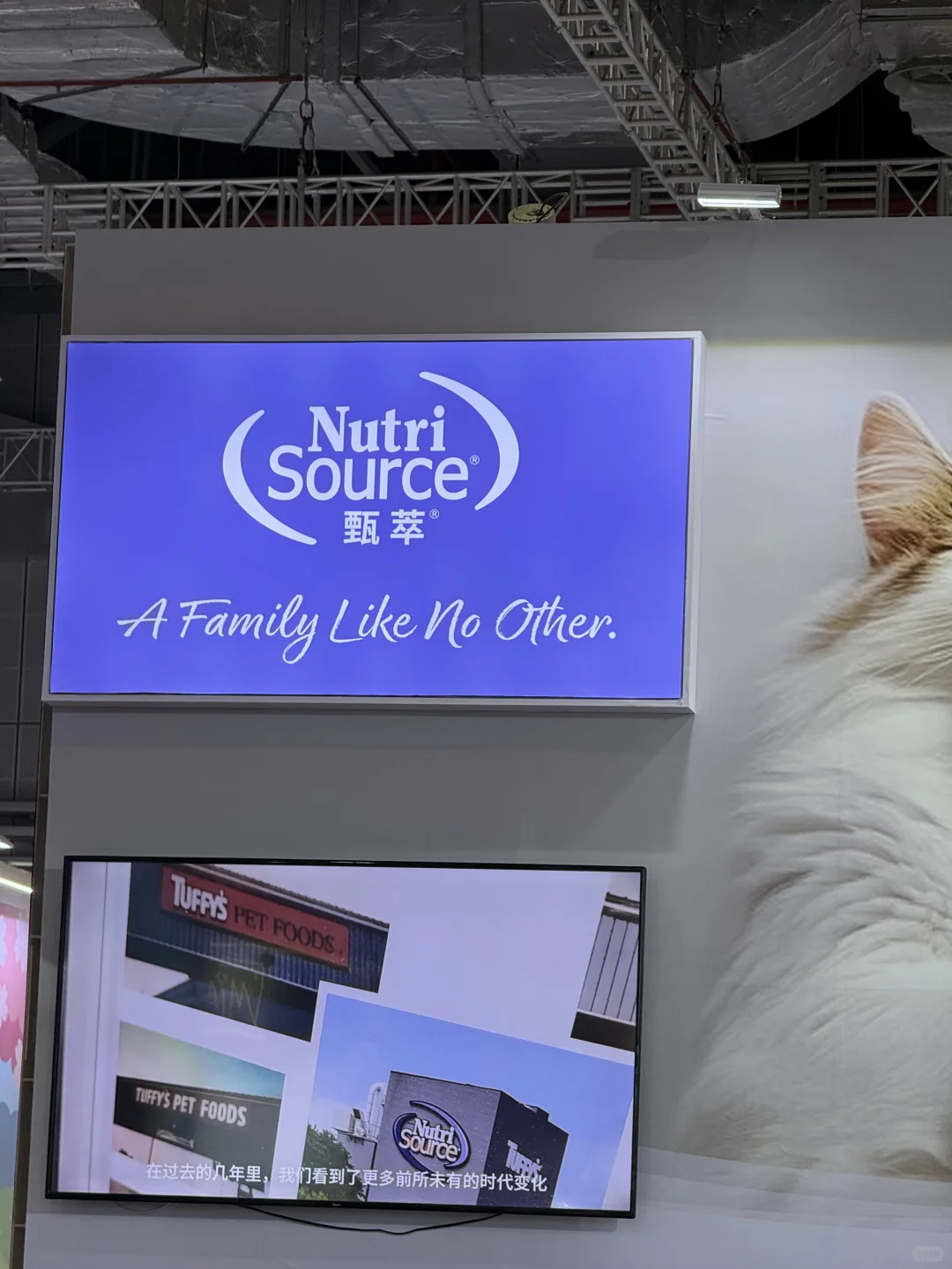 太喜欢这次的展会啦‼️打卡日常