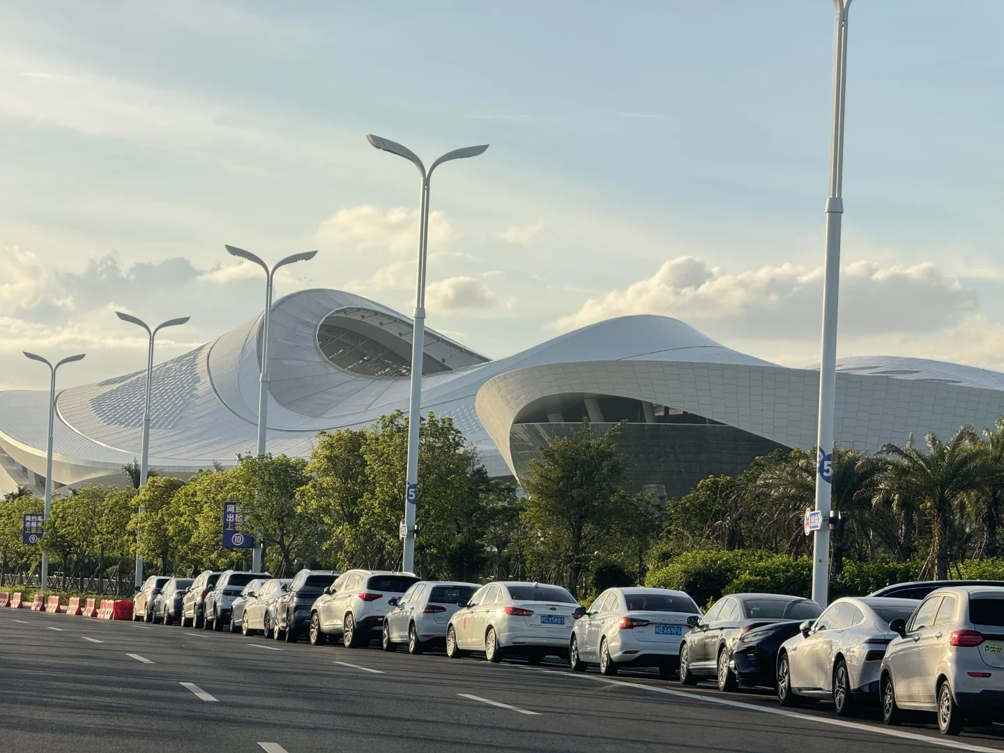 厦门新会展沙滩决绝子