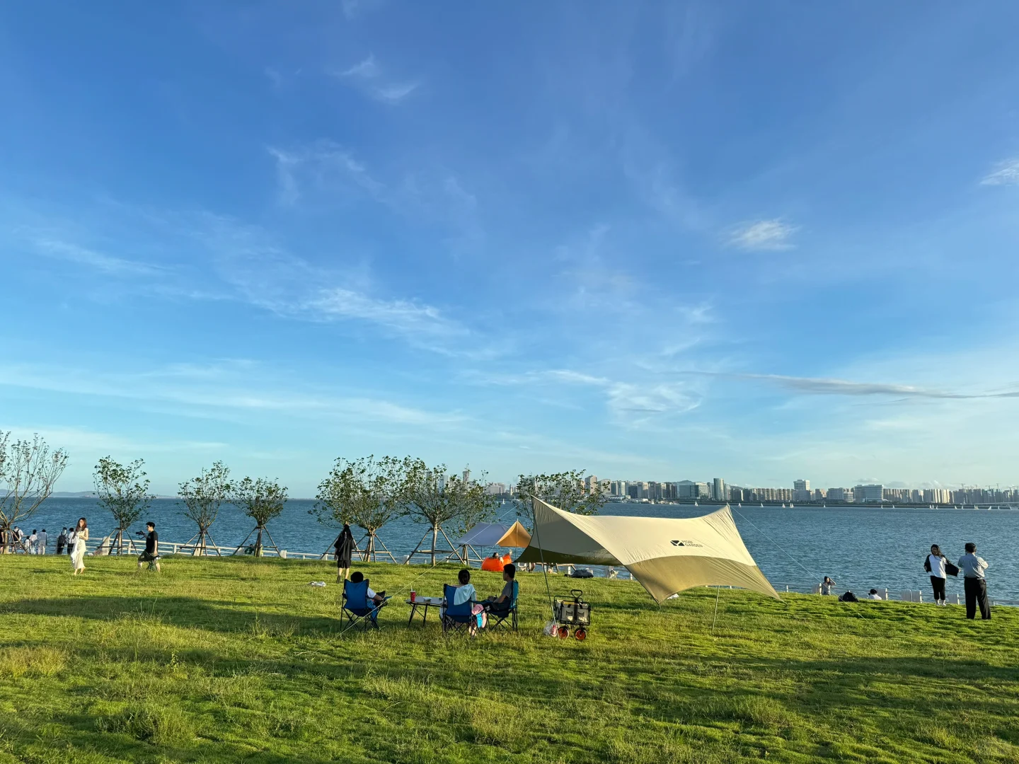 厦门新会展沙滩决绝子