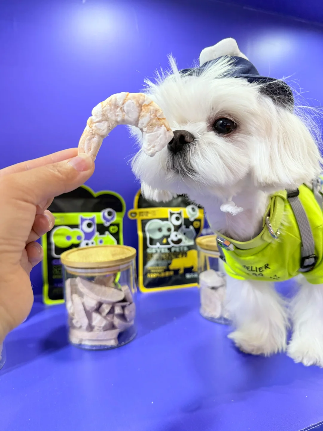 带小可爱夜闯它博会～