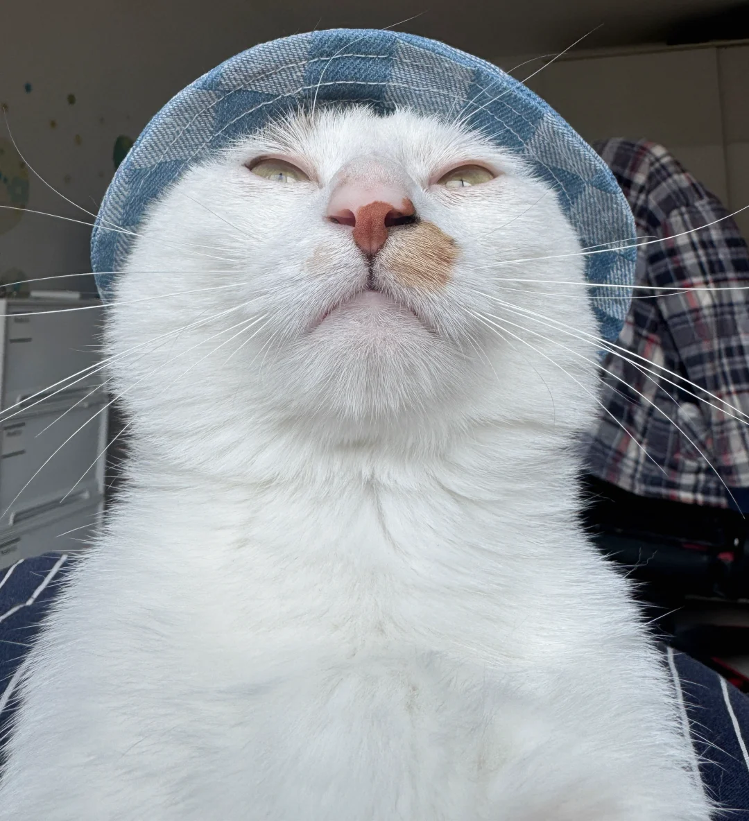 今年的它博会挺失望的！