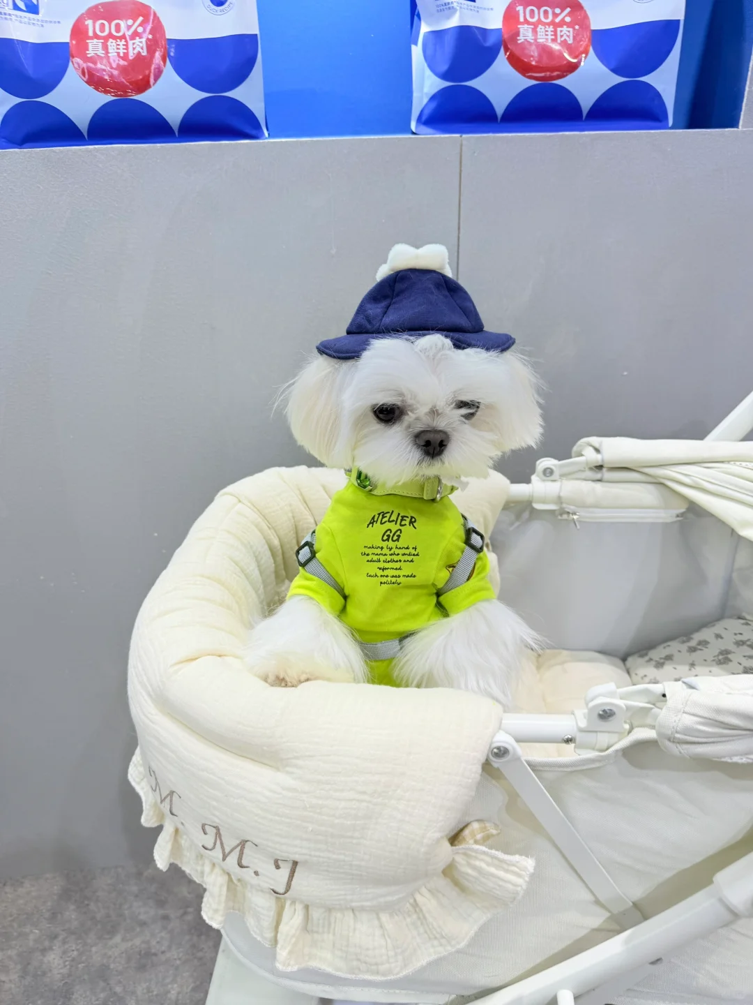 带小可爱夜闯它博会～