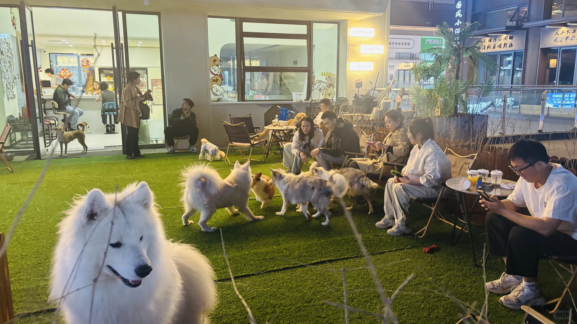 说说会展吾悦你最喜欢的小店是哪家？