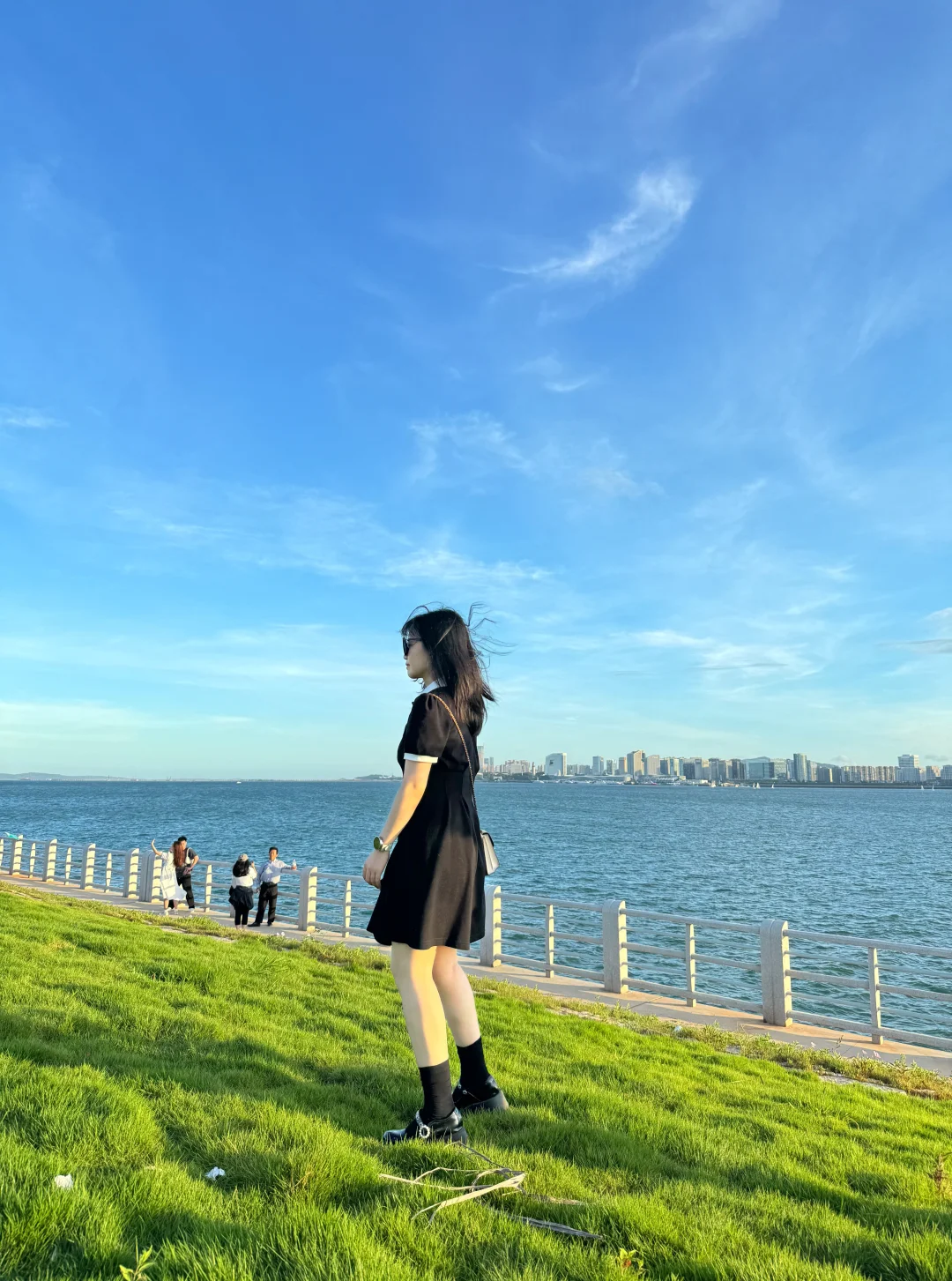 厦门新会展沙滩决绝子