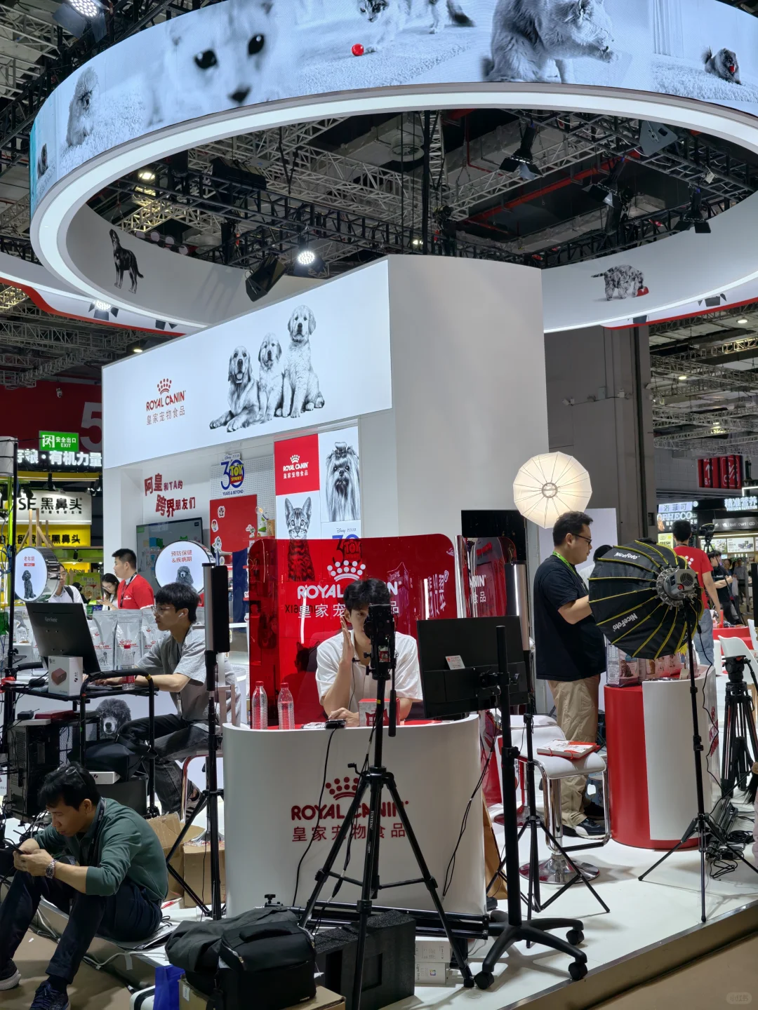 国内顶流宠物类展会“它博会”今夜不打烊