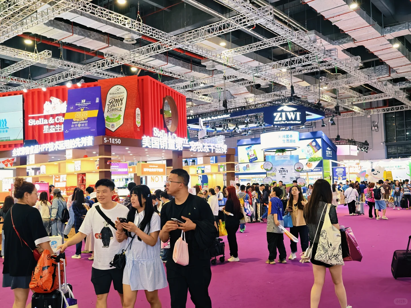 国内顶流宠物类展会“它博会”今夜不打烊