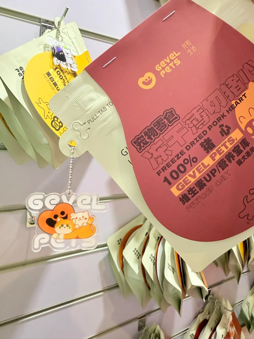 带小可爱夜闯它博会～