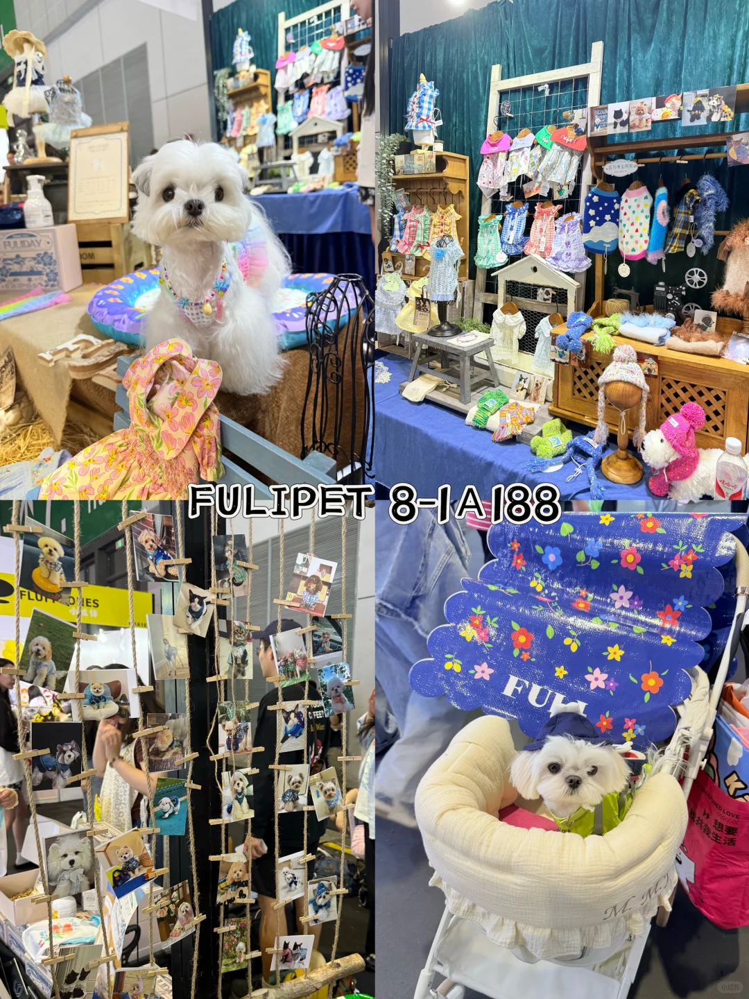 带小可爱夜闯它博会～