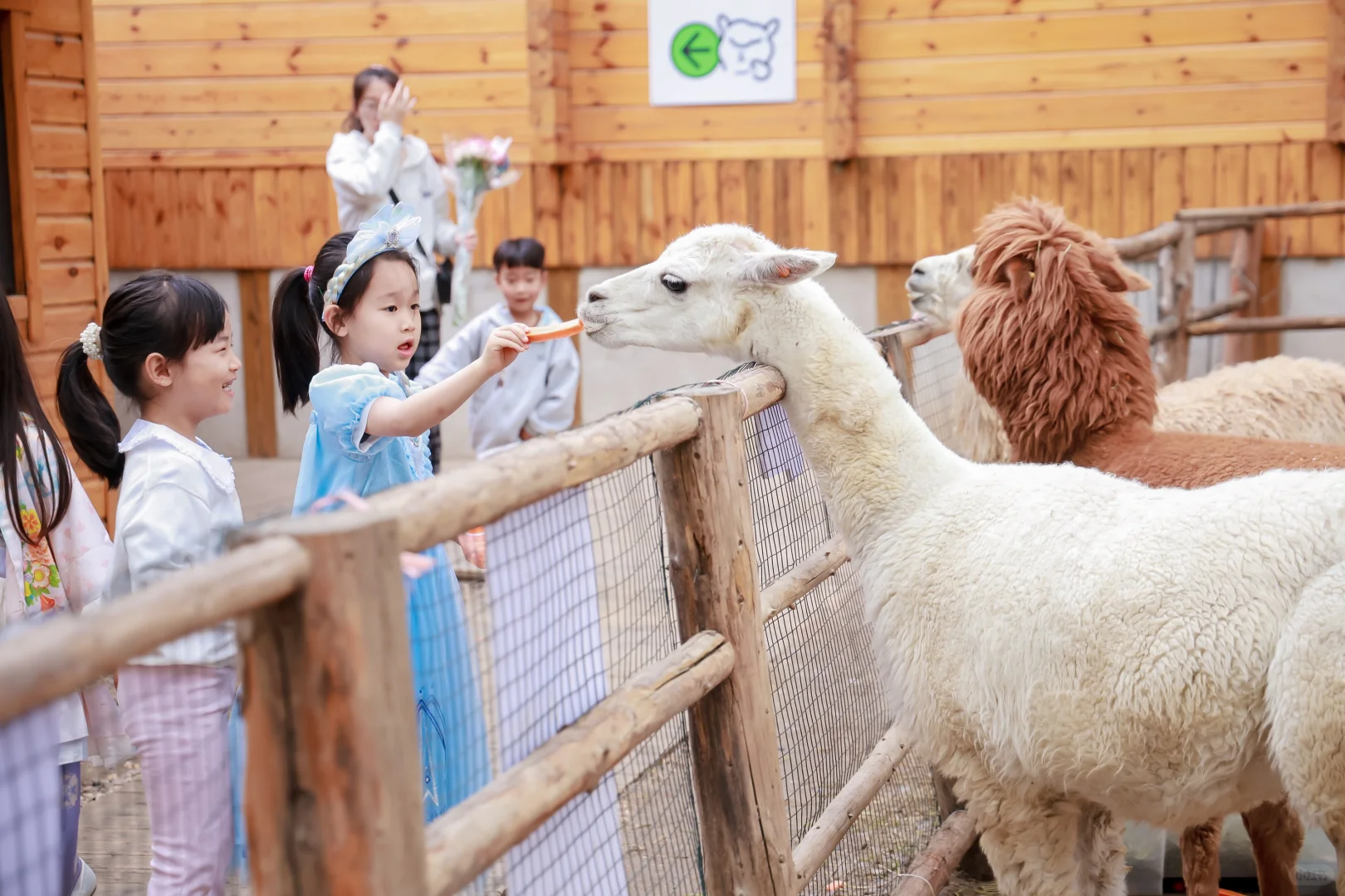 北京展会拍摄会展跟拍摄影师 照片直播