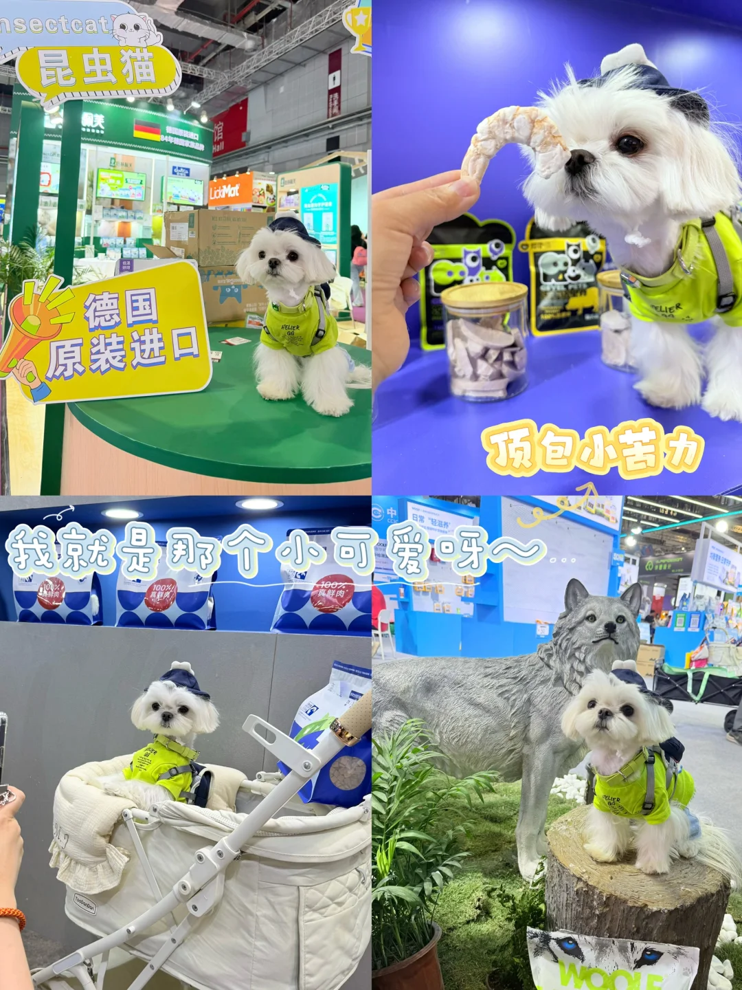 带小可爱夜闯它博会～