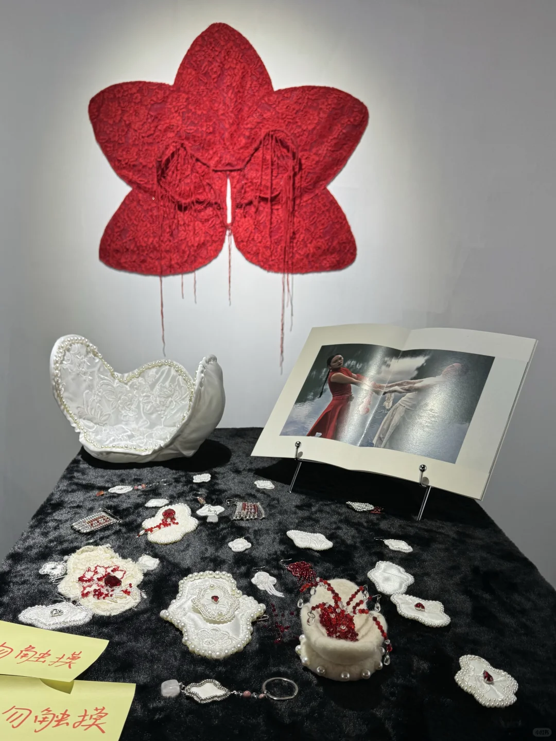 深圳免费新展?月经与子宫，女生必打卡