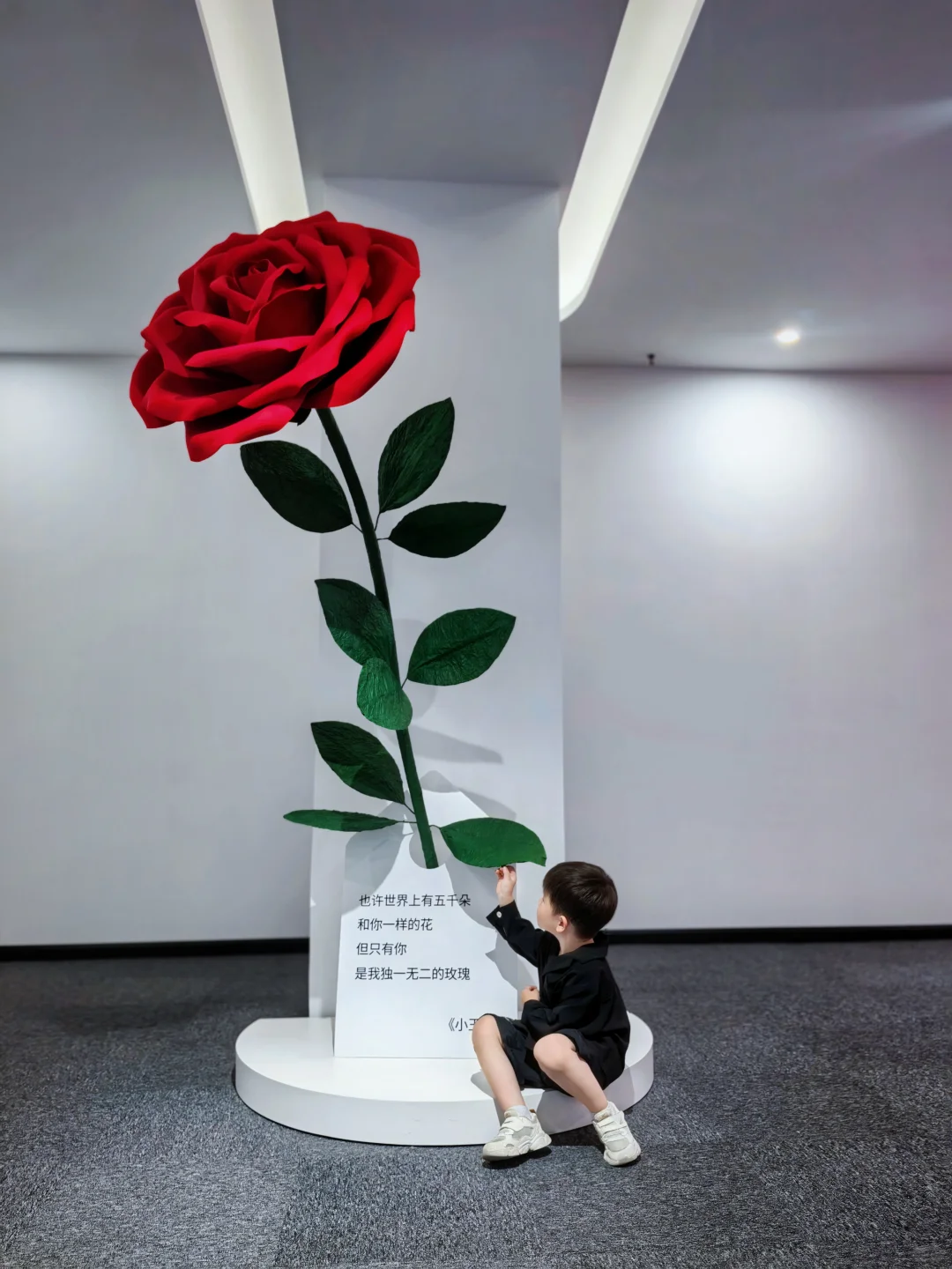 深圳新展?很哇塞的小王子童话展览?