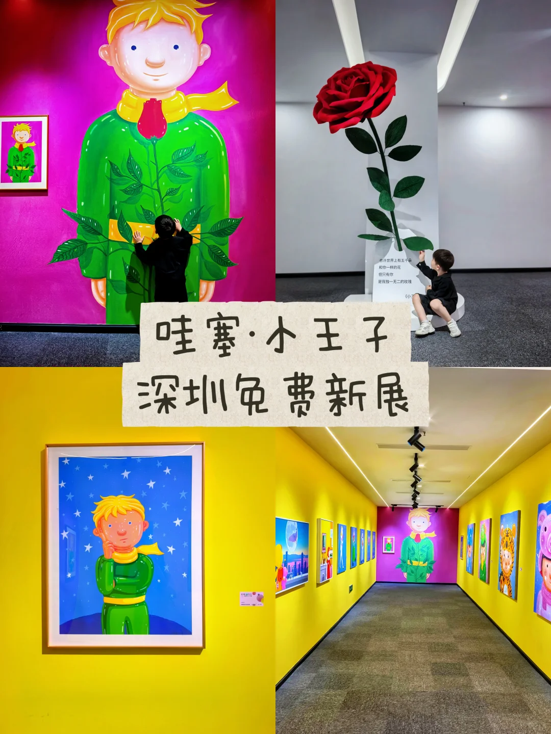 深圳新展?很哇塞的小王子童话展览?