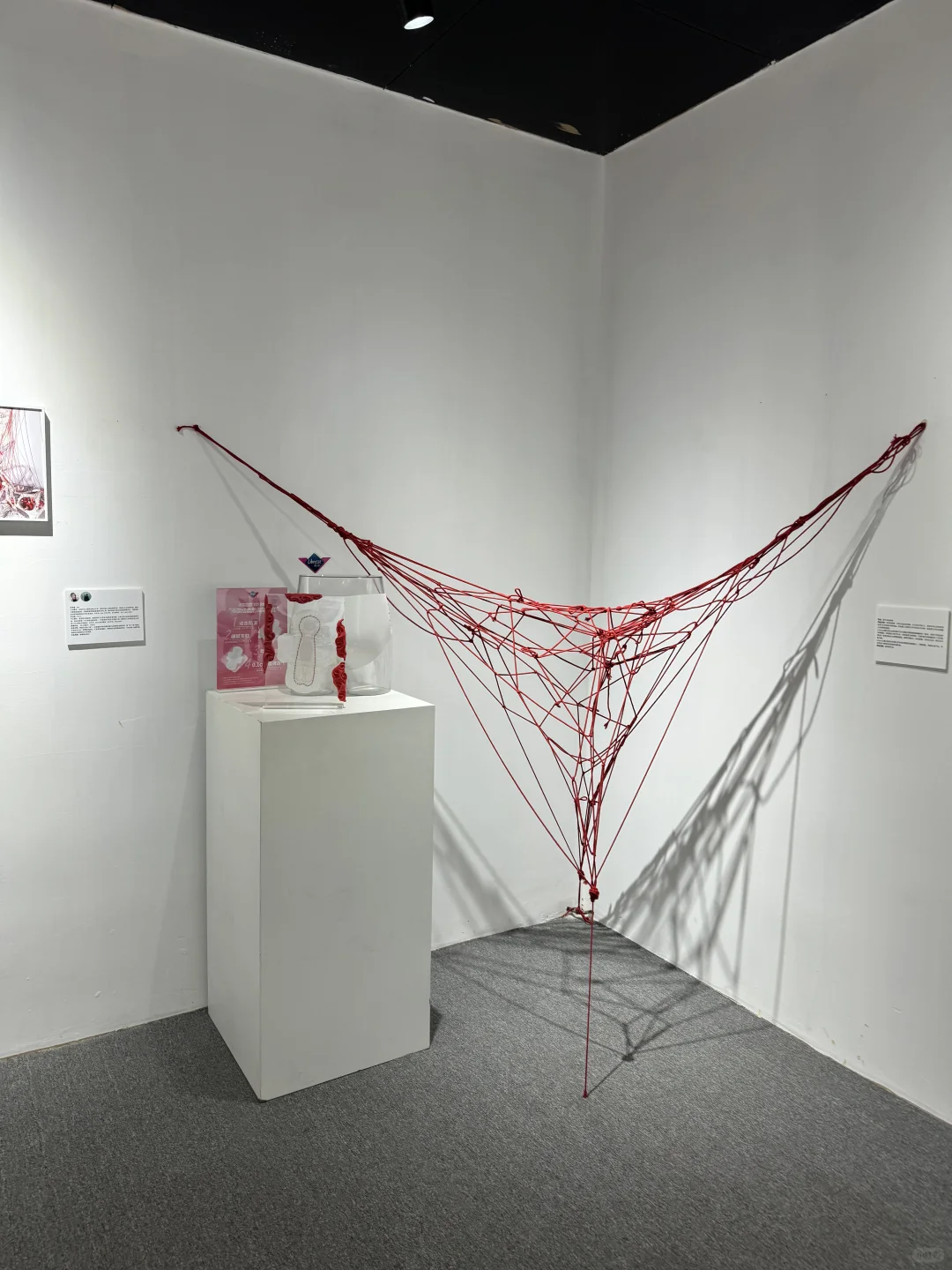 深圳免费新展?月经与子宫，女生必打卡