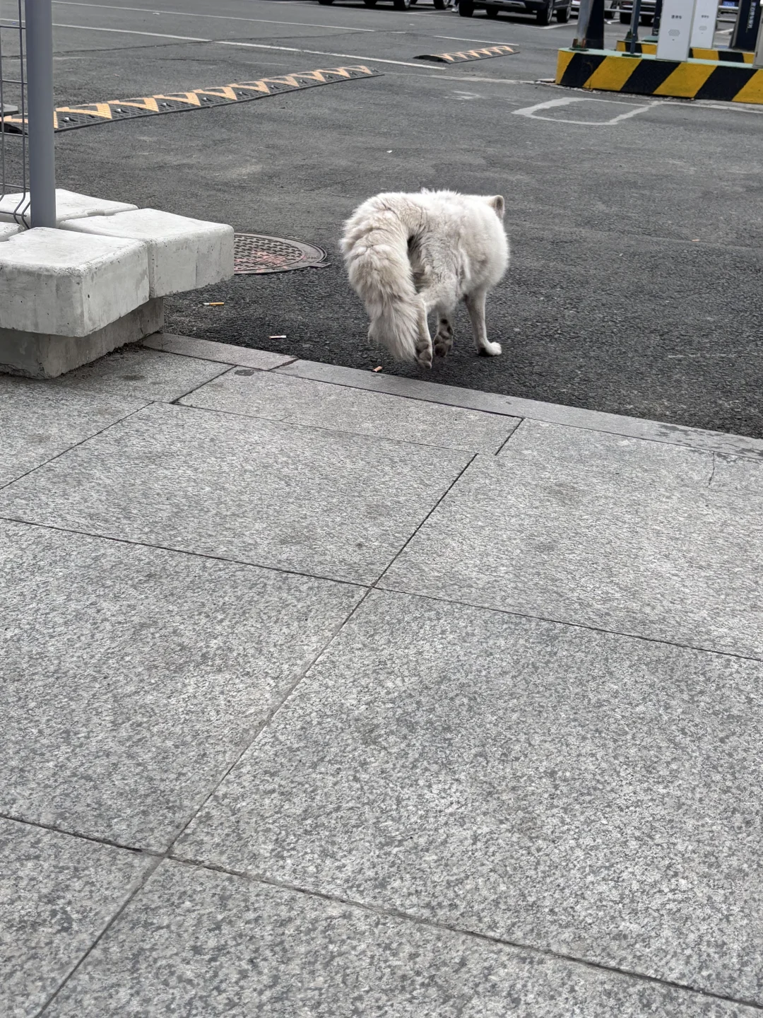 会展中心附近的