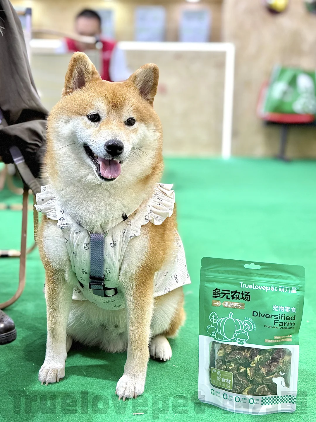 ?展会上的代言汪们！太会营业啦！