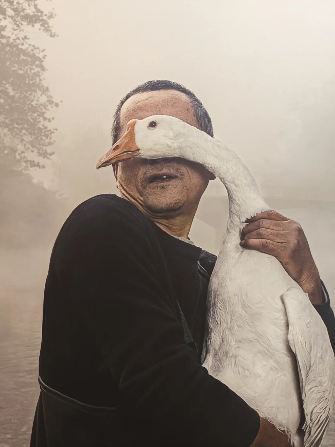 影像上海艺术博览会｜10th