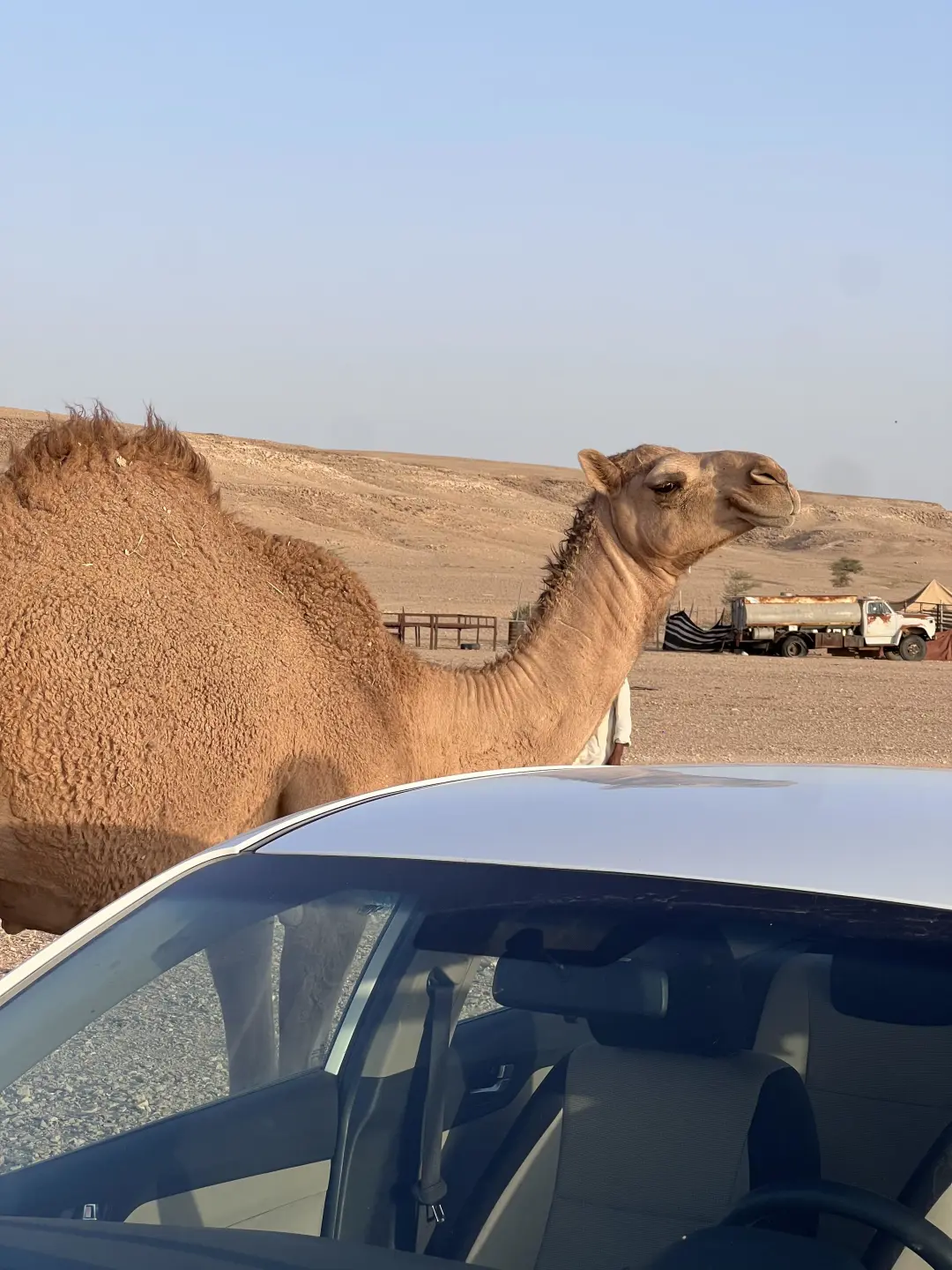 利雅得宝藏民宿 | 展会与机场间的理想住宿