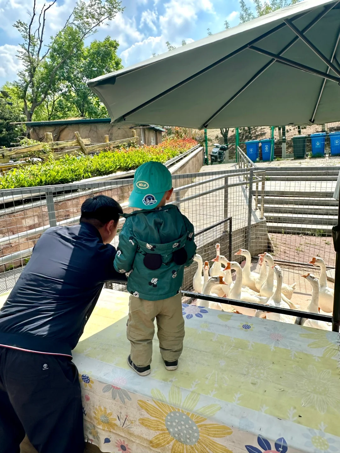 青岛市区！！被严重低估的遛娃圣地???