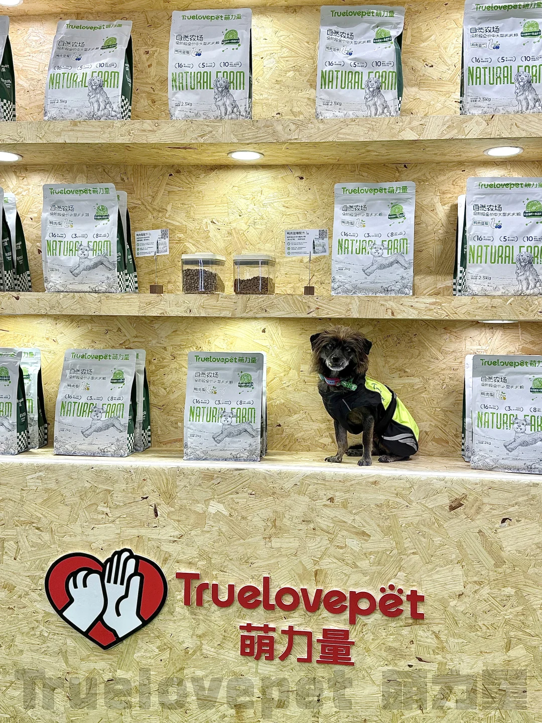 ?展会上的代言汪们！太会营业啦！