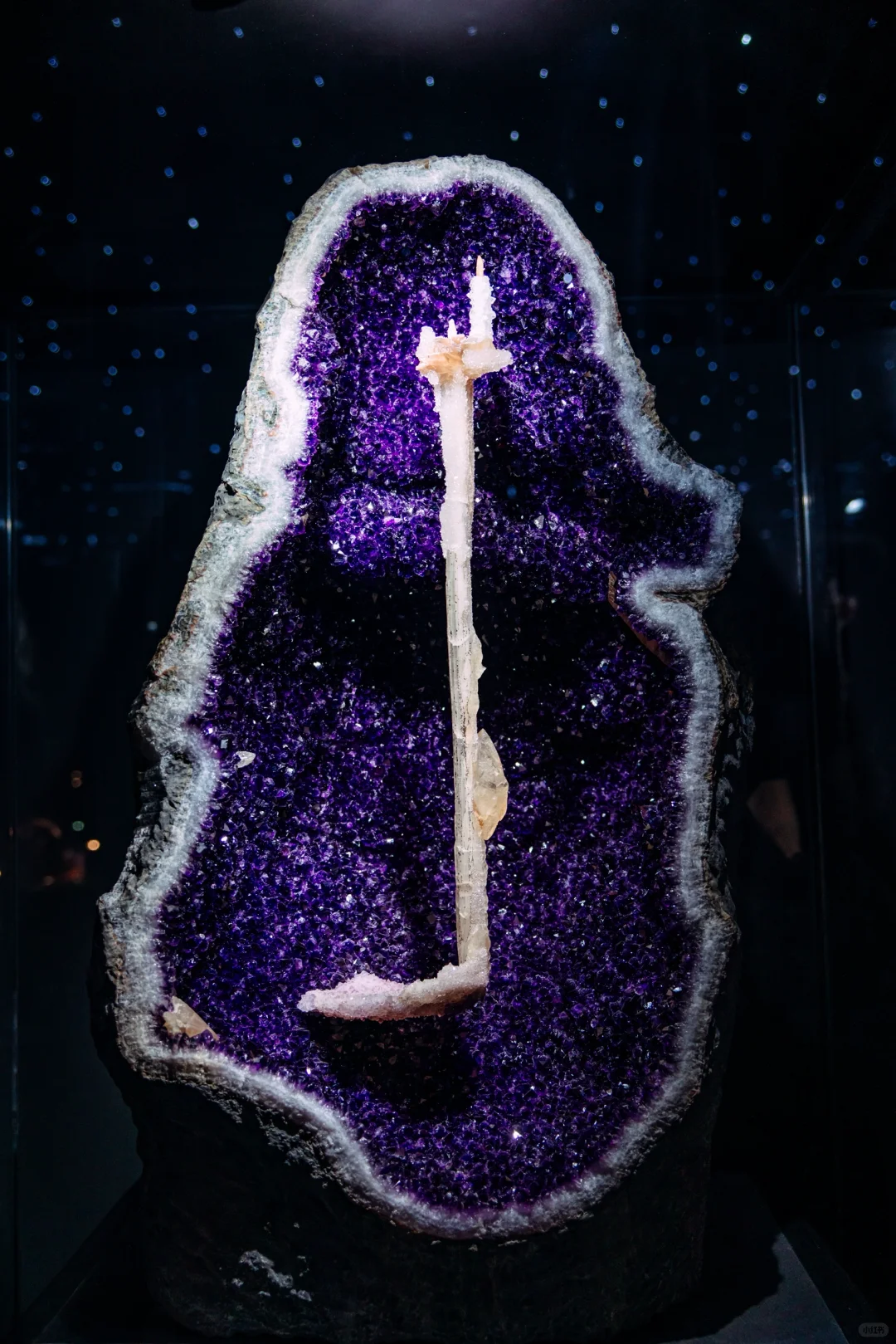 免费挖雨花石❗️南京矿博会带你玩转地质世界