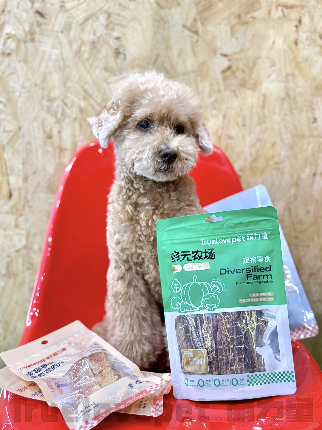 ?展会上的代言汪们！太会营业啦！