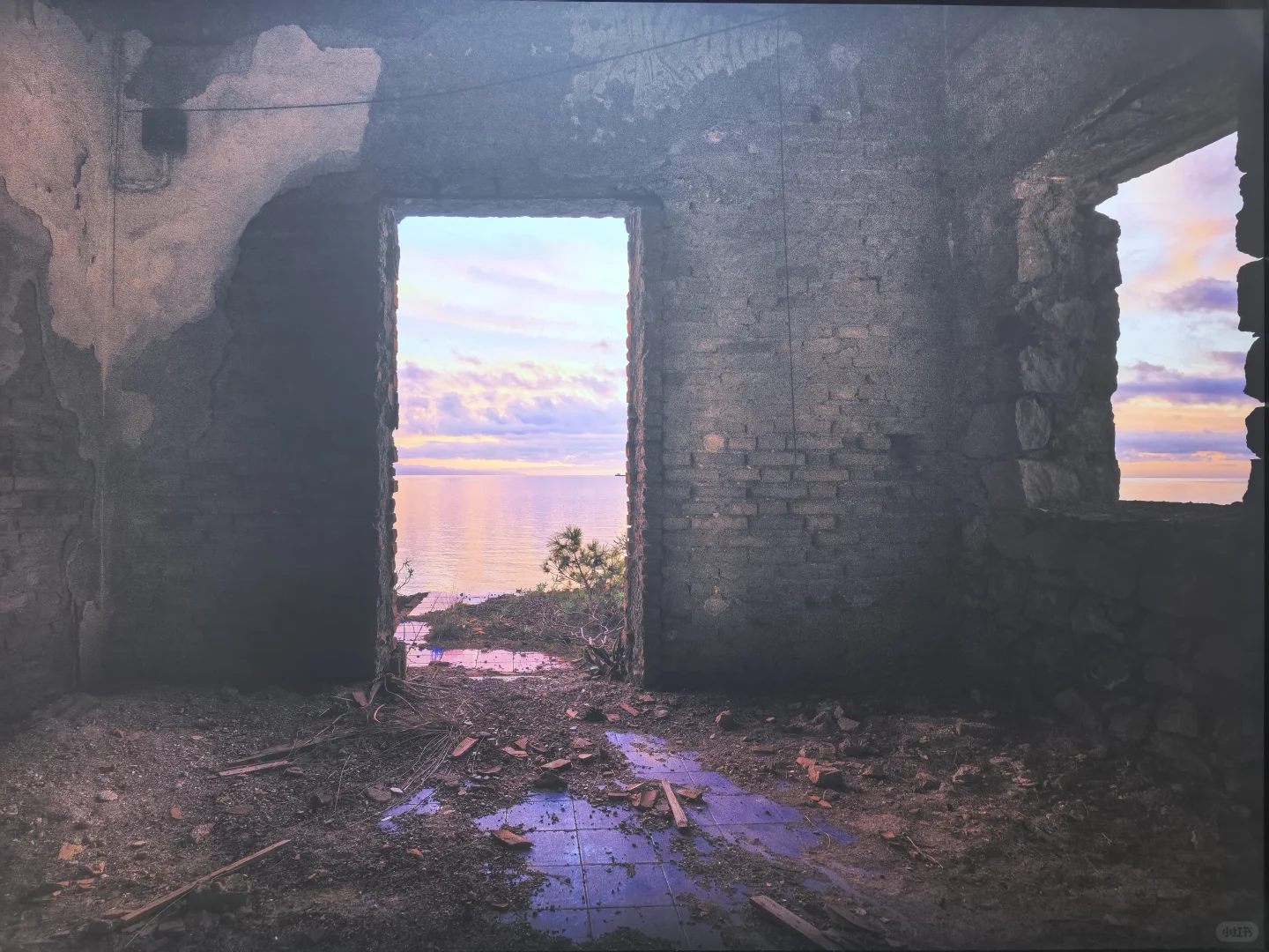 影像上海艺术博览会2025