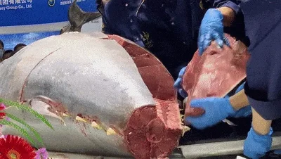 2025深圳国际渔业博览会即将开幕！