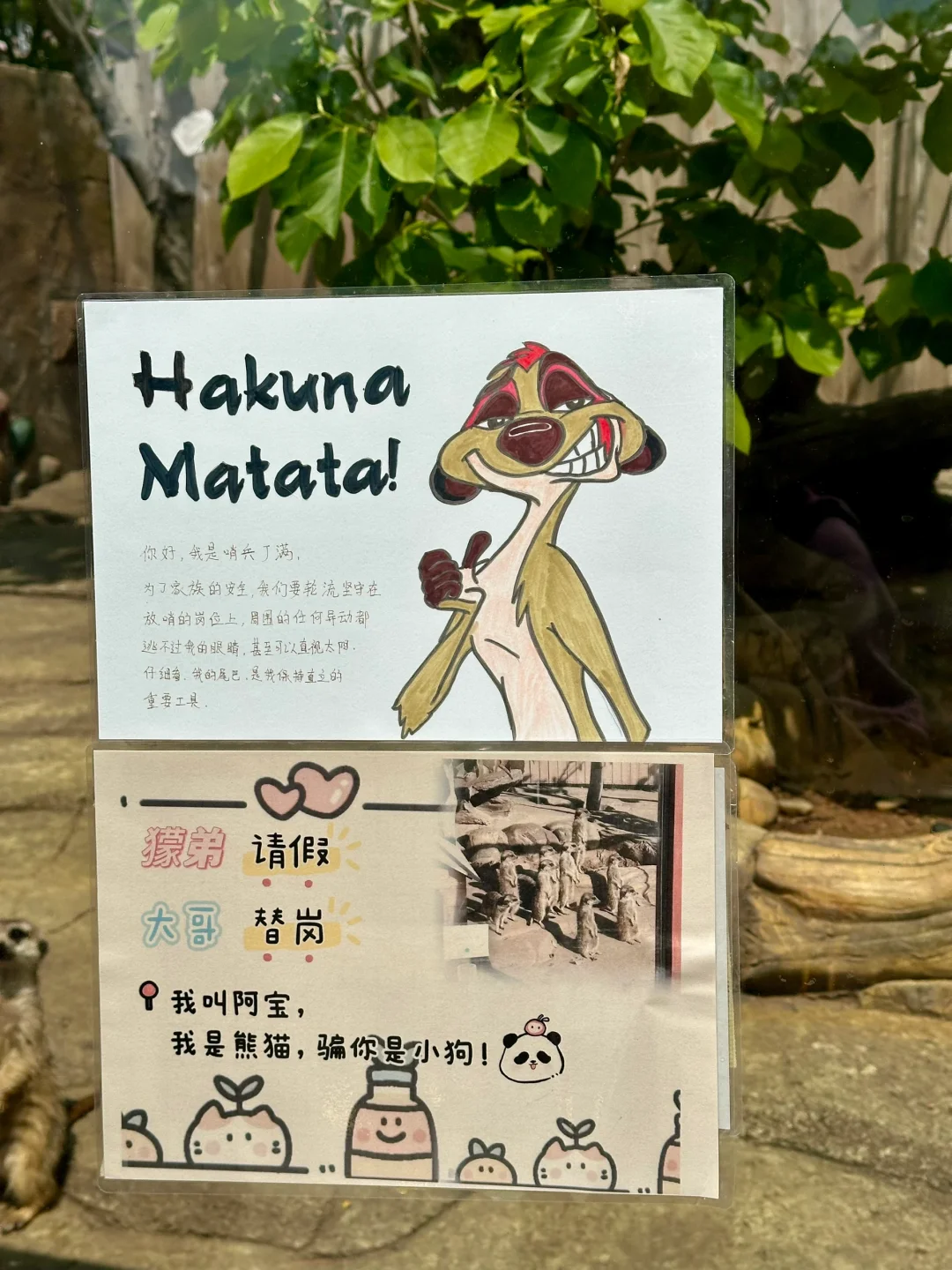 青岛市区！！被严重低估的遛娃圣地???