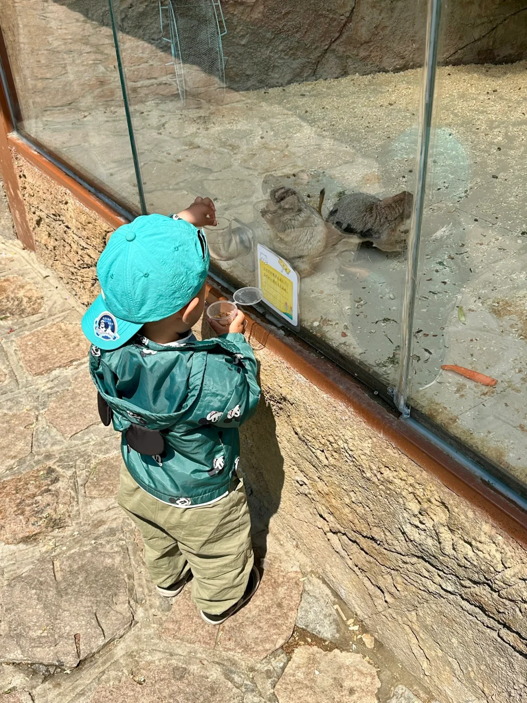 青岛市区！！被严重低估的遛娃圣地???