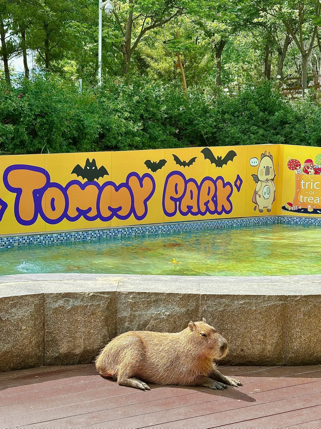 青岛市区！！被严重低估的遛娃圣地???