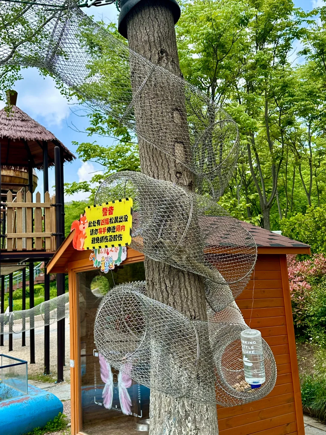 青岛市区！！被严重低估的遛娃圣地???